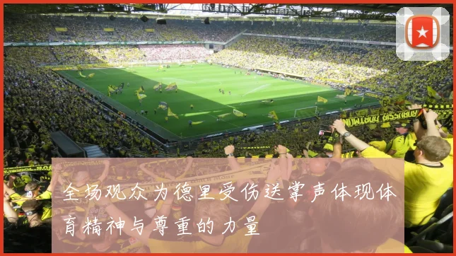 全场观众为德里受伤送掌声体现体育精神与尊重的力量