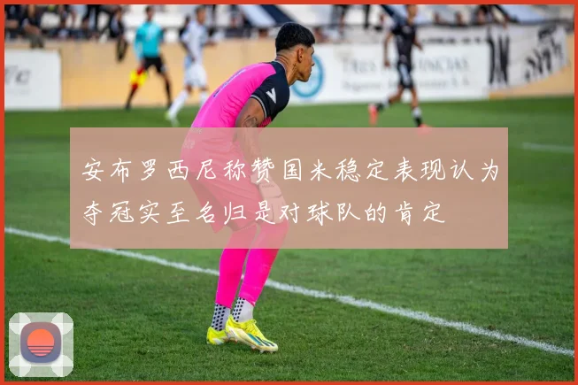 安布罗西尼称赞国米稳定表现认为夺冠实至名归是对球队的肯定